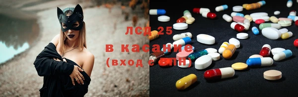 ECSTASY Алзамай