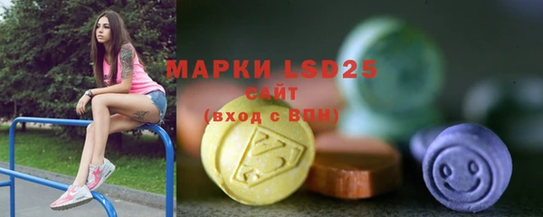 ECSTASY Алзамай